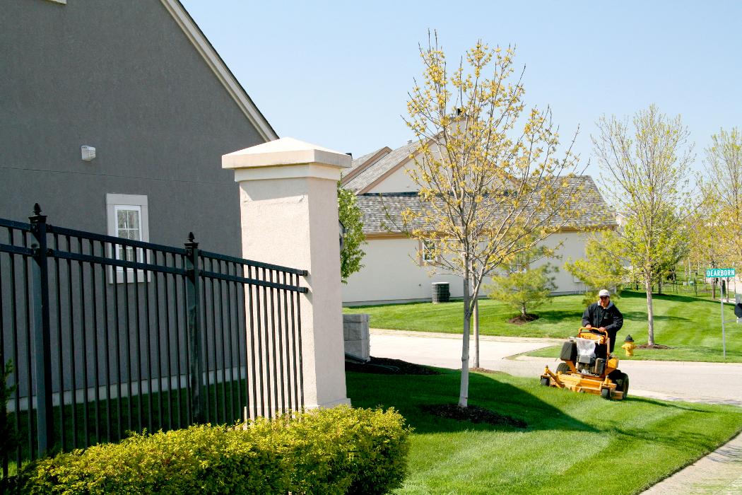 Signature Landscape Image