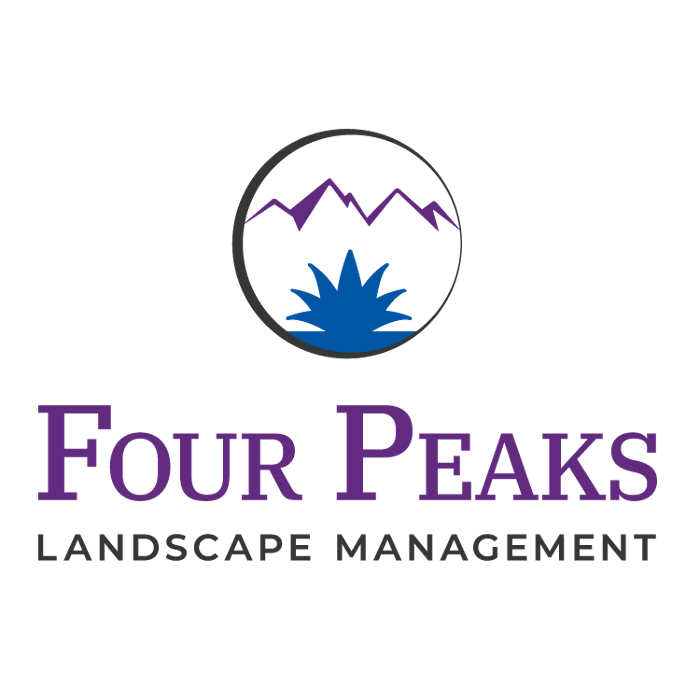 Four Peaks Landscape East Valley Yard