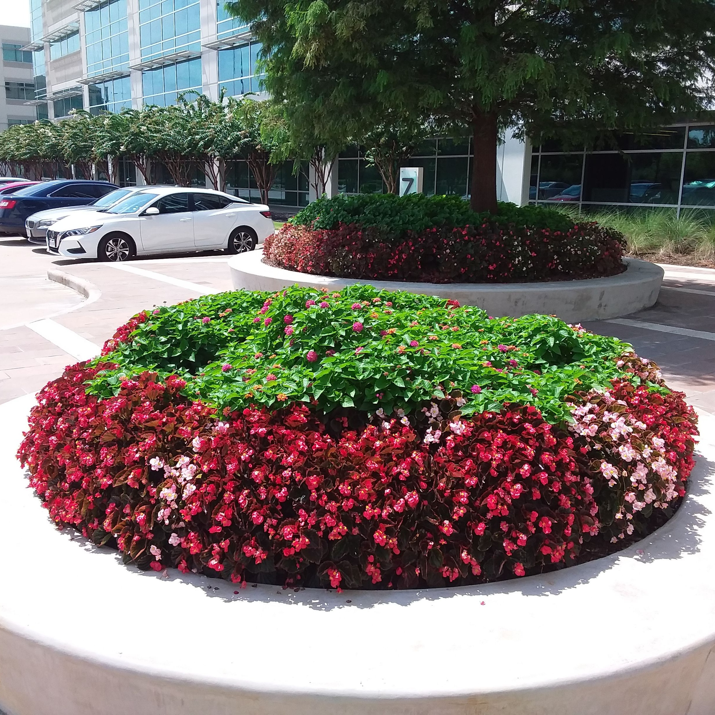 Circular Image