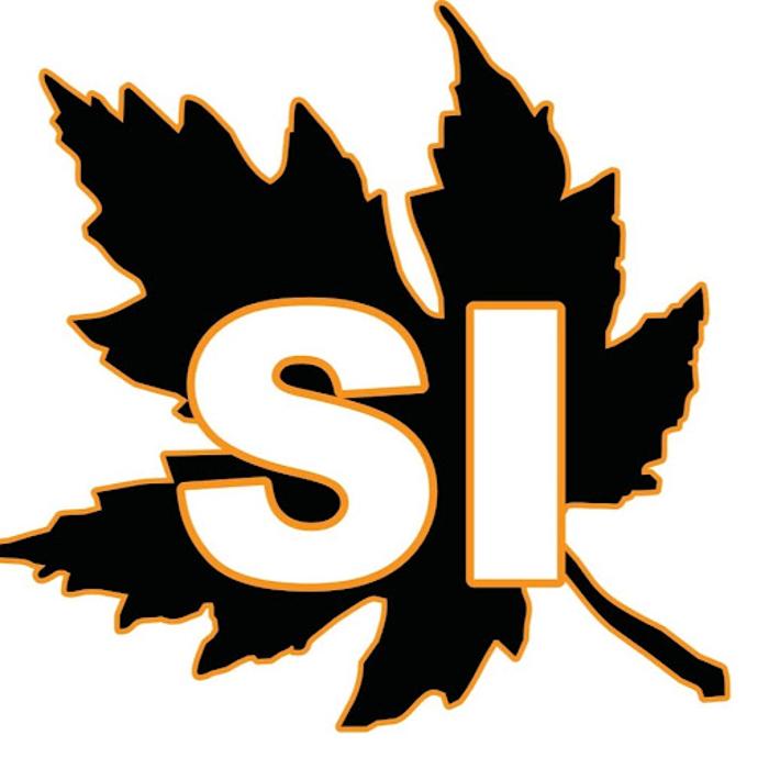 Sharper Image Lawn &amp; Landscape Logo