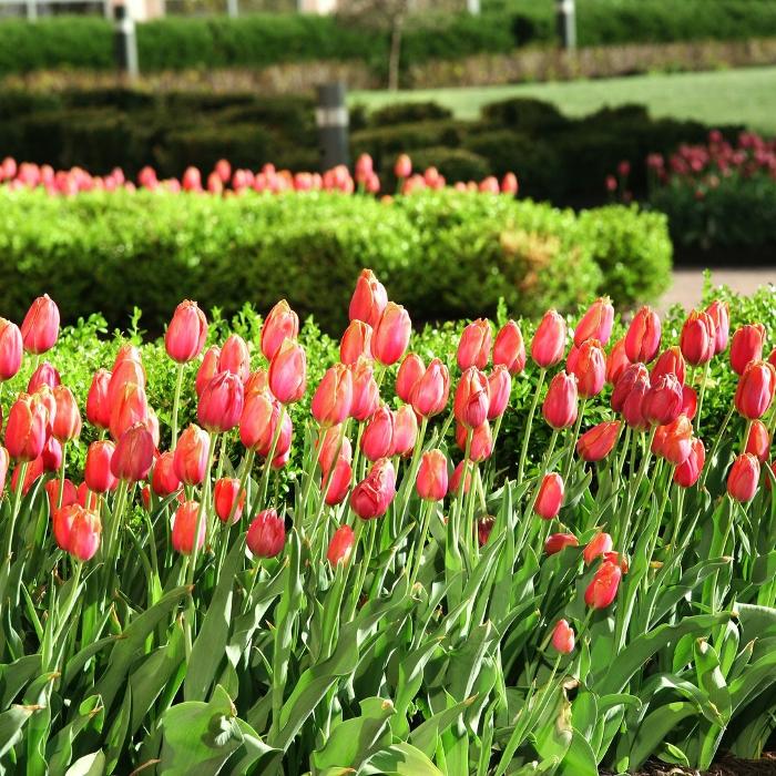 JML Landscape Management
