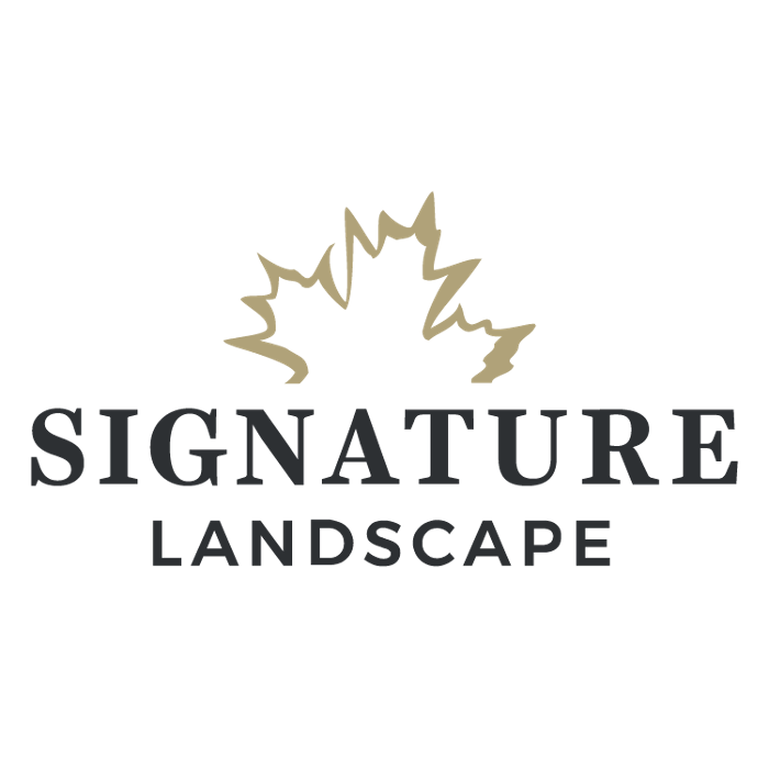 Signature Landscape