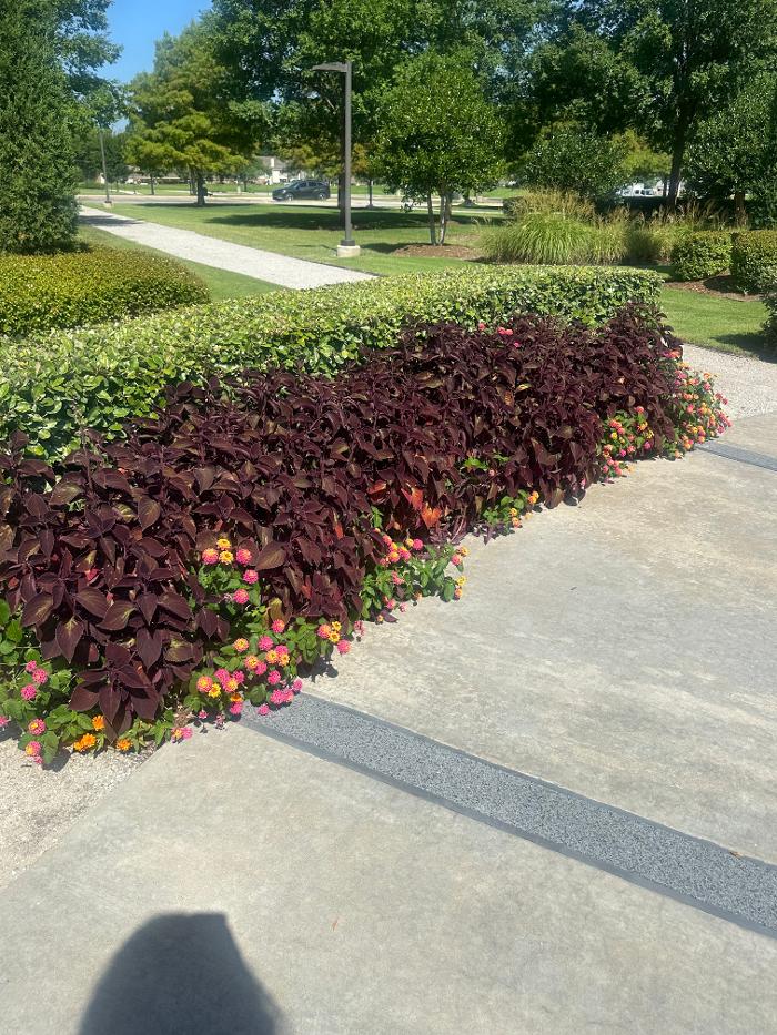 Roark Landscape Image