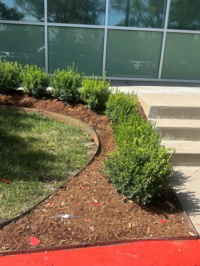 Roark Landscape Image