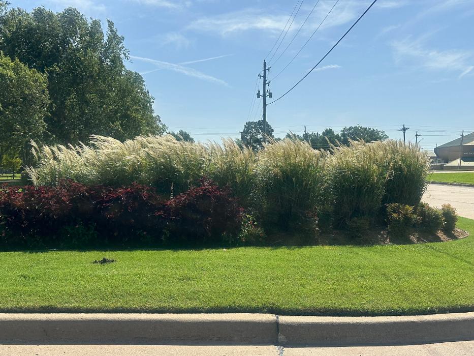 Roark Landscape Logo