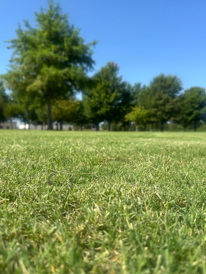 Roark Landscape Image