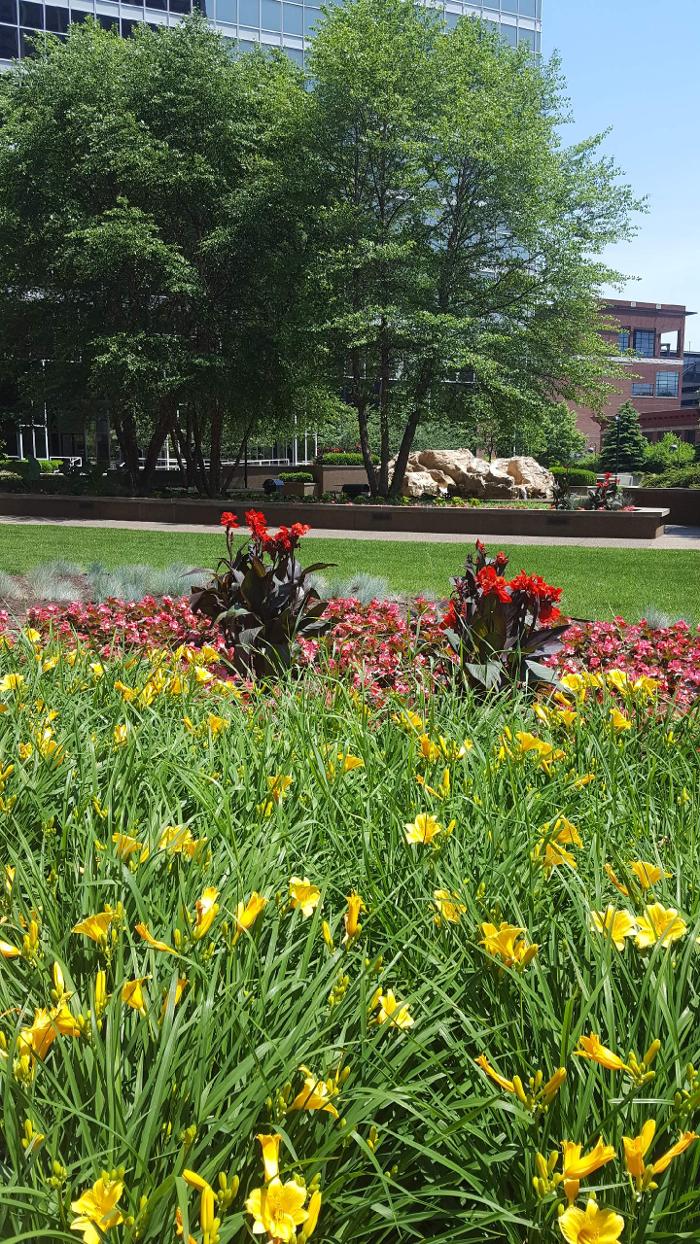 JML Landscape Management Image