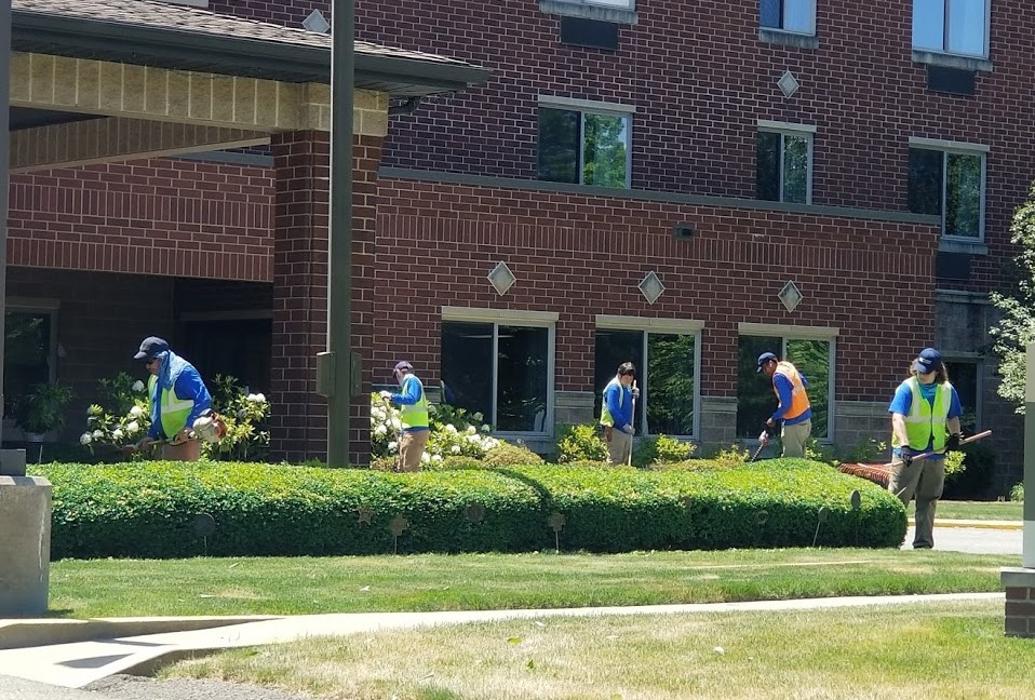 JML Landscape Management Image