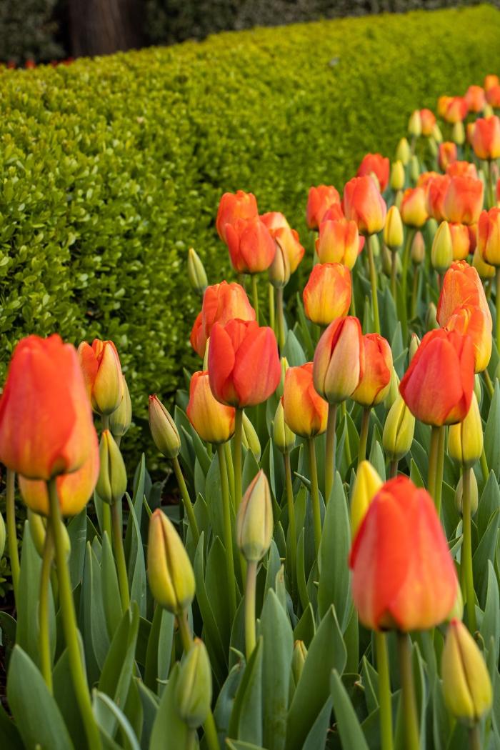 Total Environment, Inc. Image