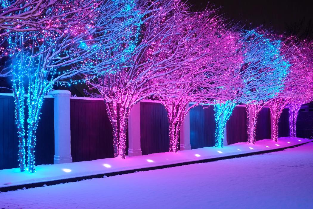 Total Environment, Inc. Image