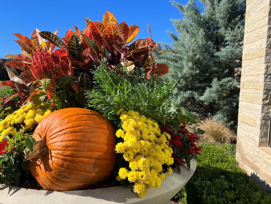 Total Environment, Inc. Logo