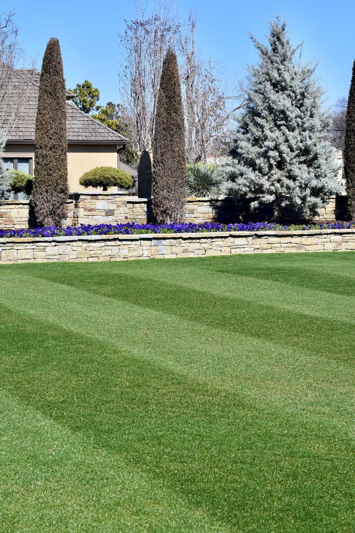 Total Environment, Inc. Image