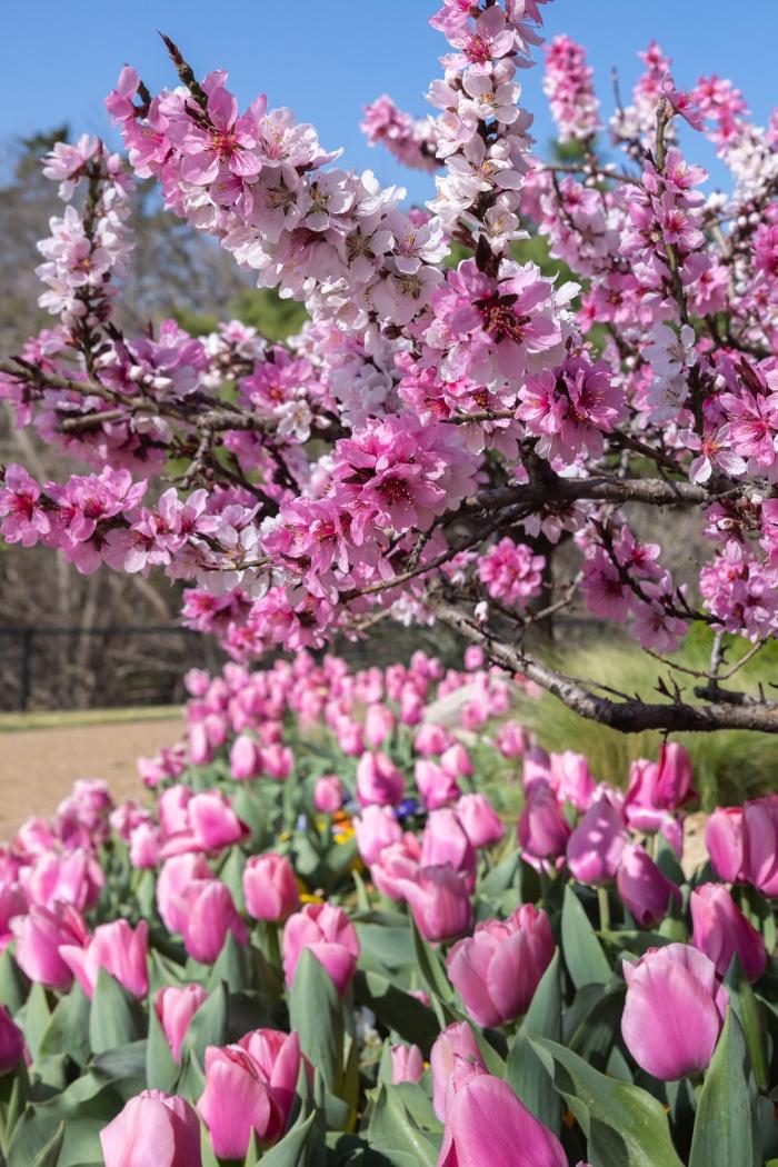 Total Environment, Inc. Image