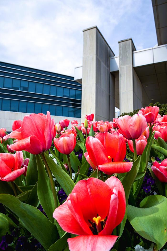 Total Environment, Inc. Image