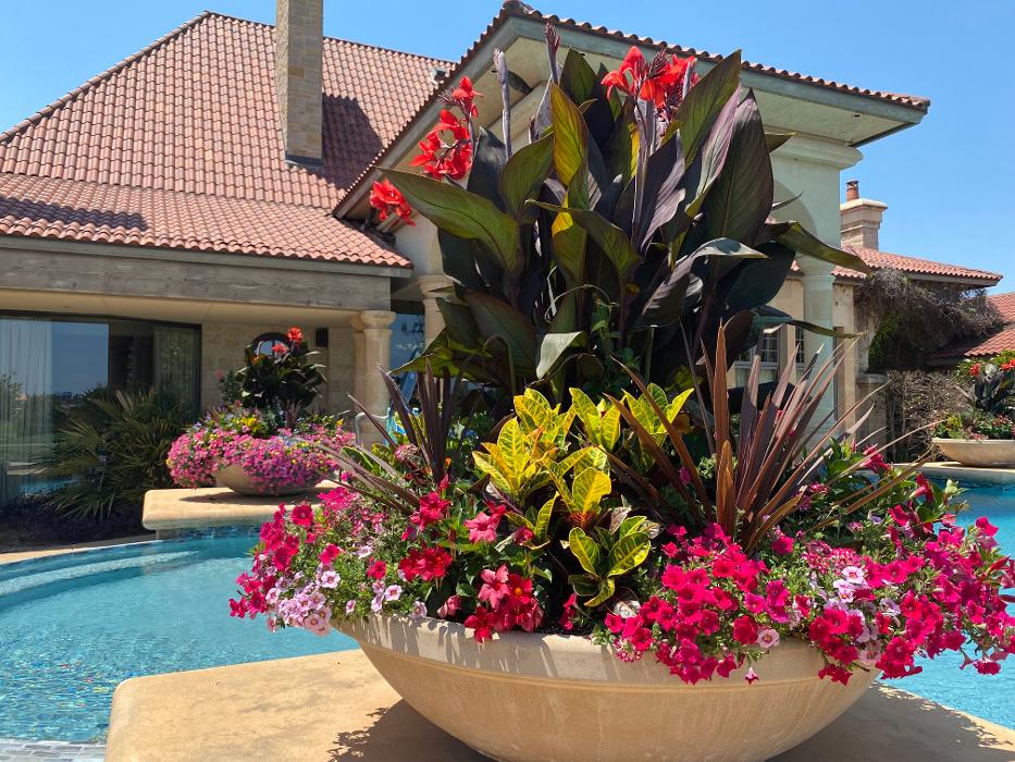 Total Environment, Inc. Image