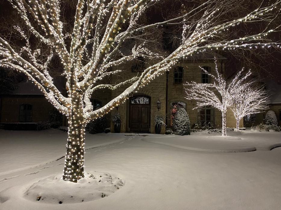 Total Environment, Inc. Image