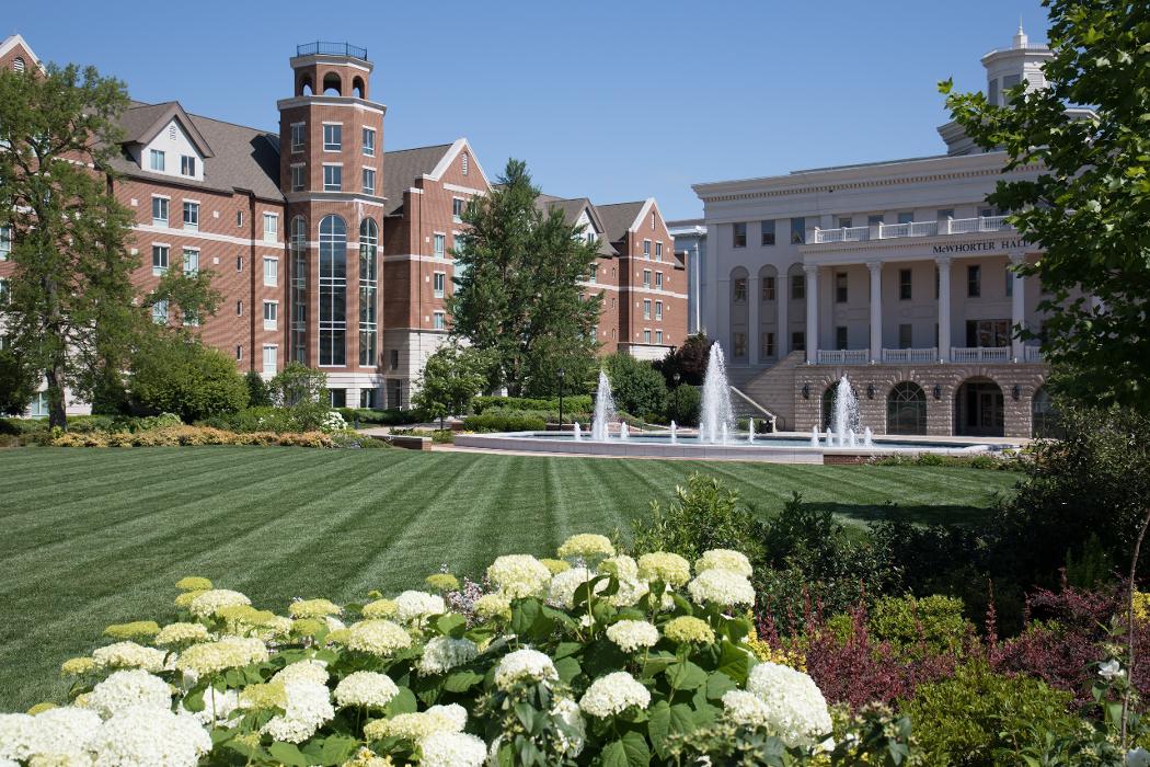 LSI - Landscape Services Inc. Image