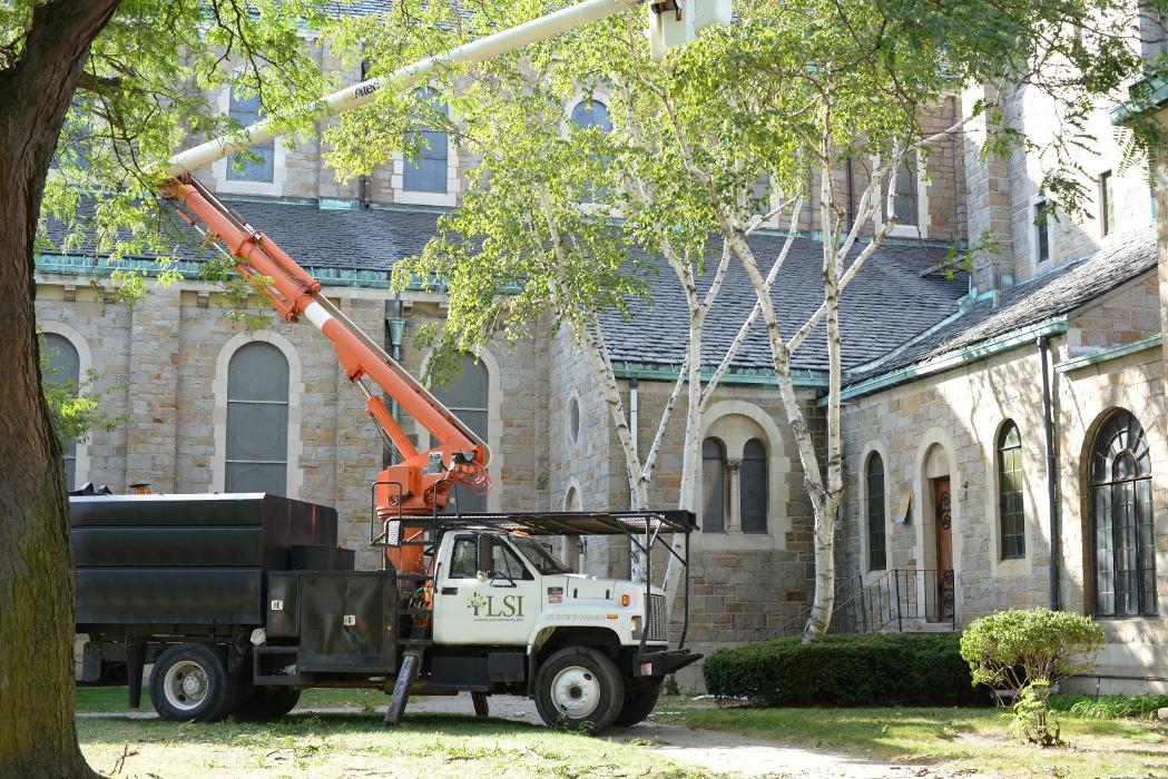 LSI - Landscape Services Inc. Image