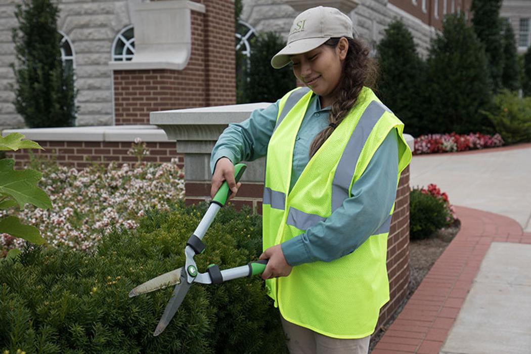 LSI - Landscape Services Inc. Image