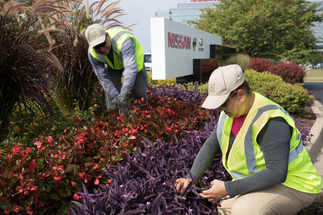 LSI - Landscape Services Inc. Image