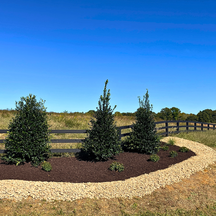 Schultz Lawnscapes Richmond VA Image