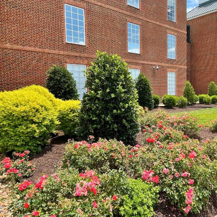 Schultz Lawnscapes Richmond VA Image