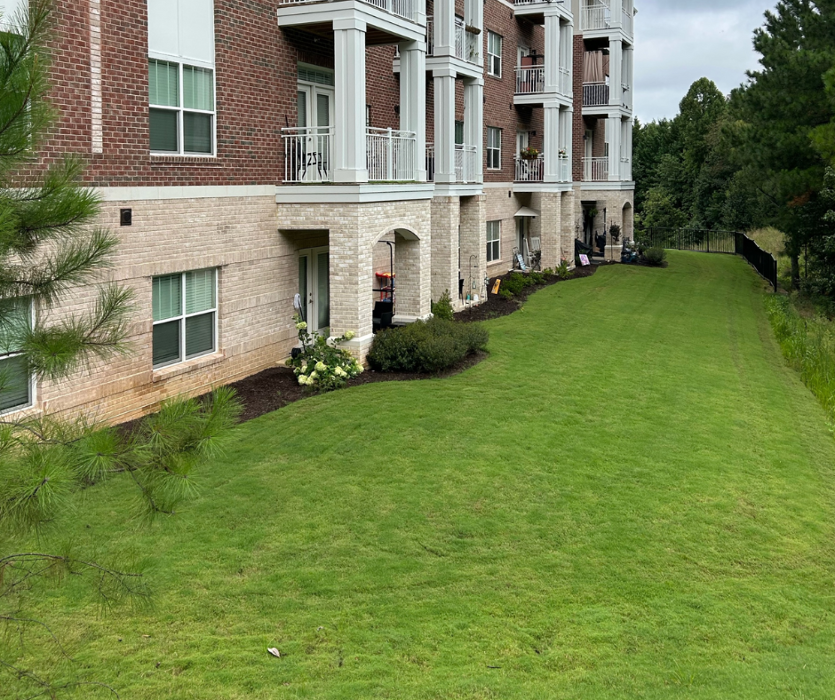 Schultz Lawnscapes Richmond VA Image