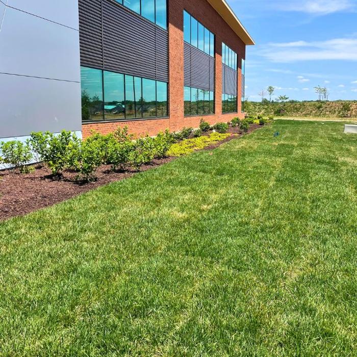 Schultz Lawnscapes Richmond VA Image