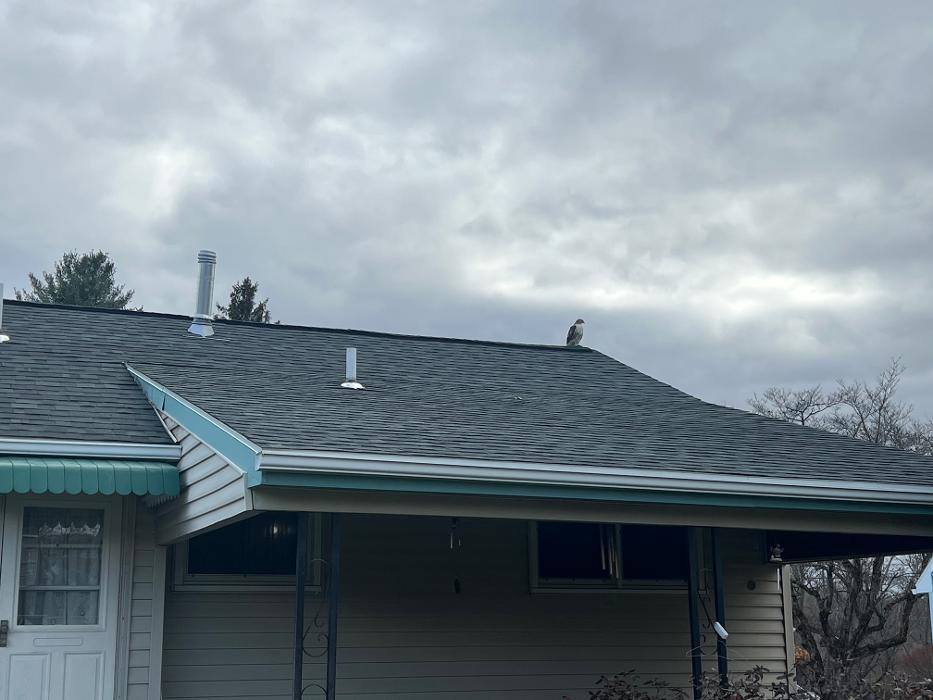 Empire Roofing of Albany NY Image