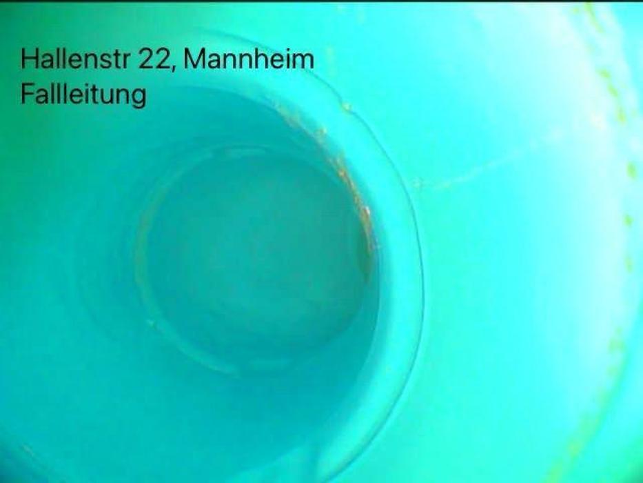 Wasserschaden Direkt, Schifferstadter Straße in Mutterstadt