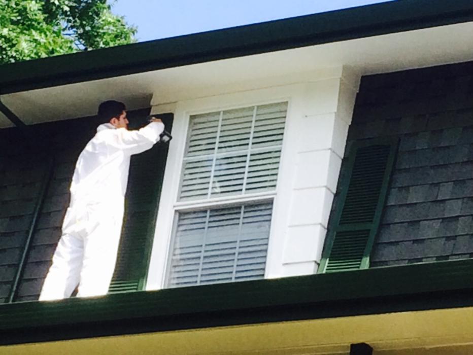 MARCO COTON PAINTING INC Image