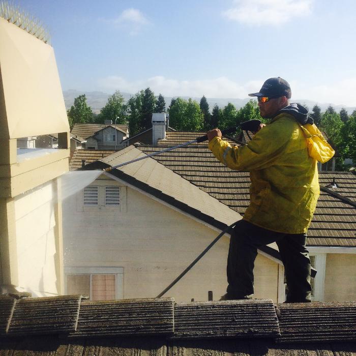 MARCO COTON PAINTING INC Image