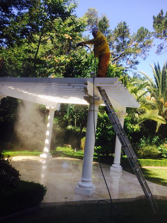 MARCO COTON PAINTING INC Image