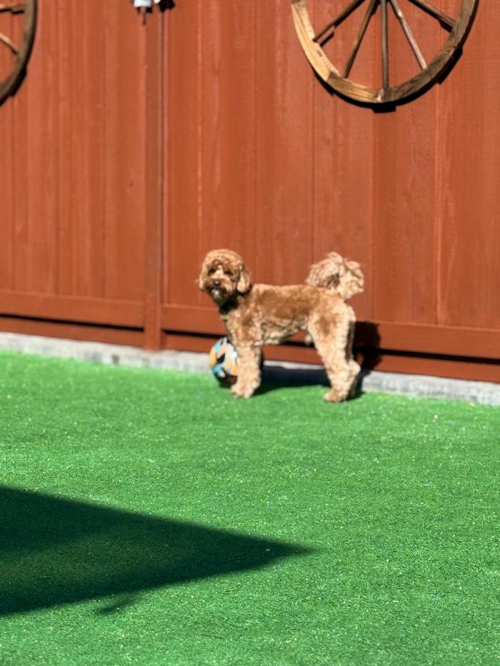 MARCO COTON PAINTING INC Image