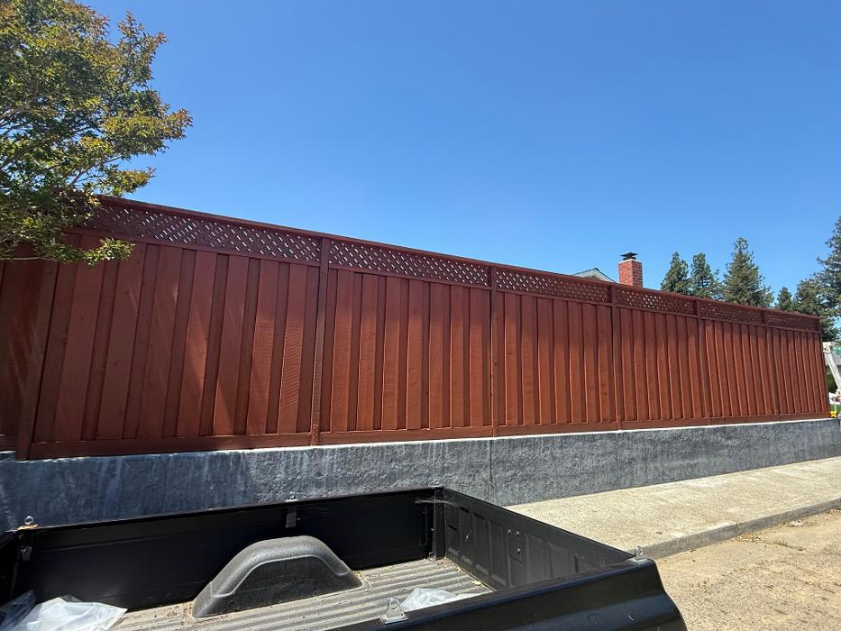 MARCO COTON PAINTING INC Image