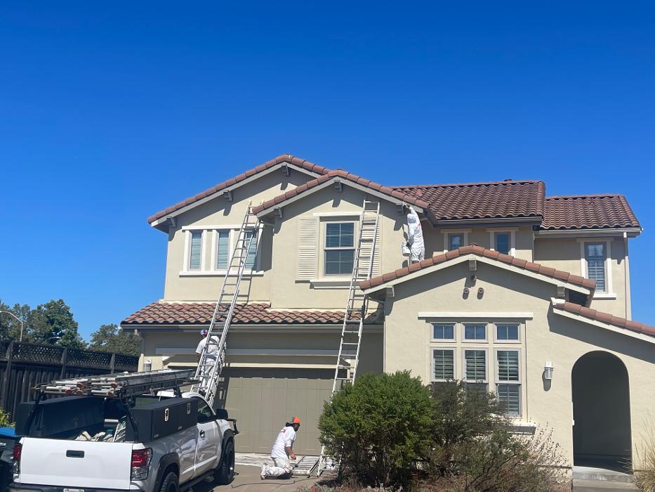 MARCO COTON PAINTING INC Logo