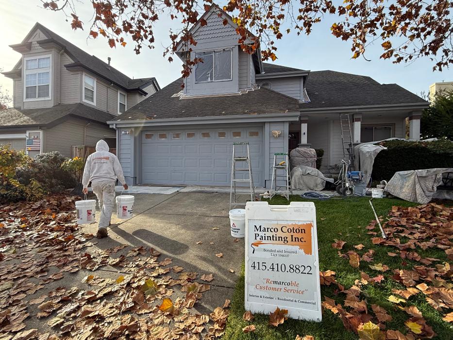 MARCO COTON PAINTING INC Image