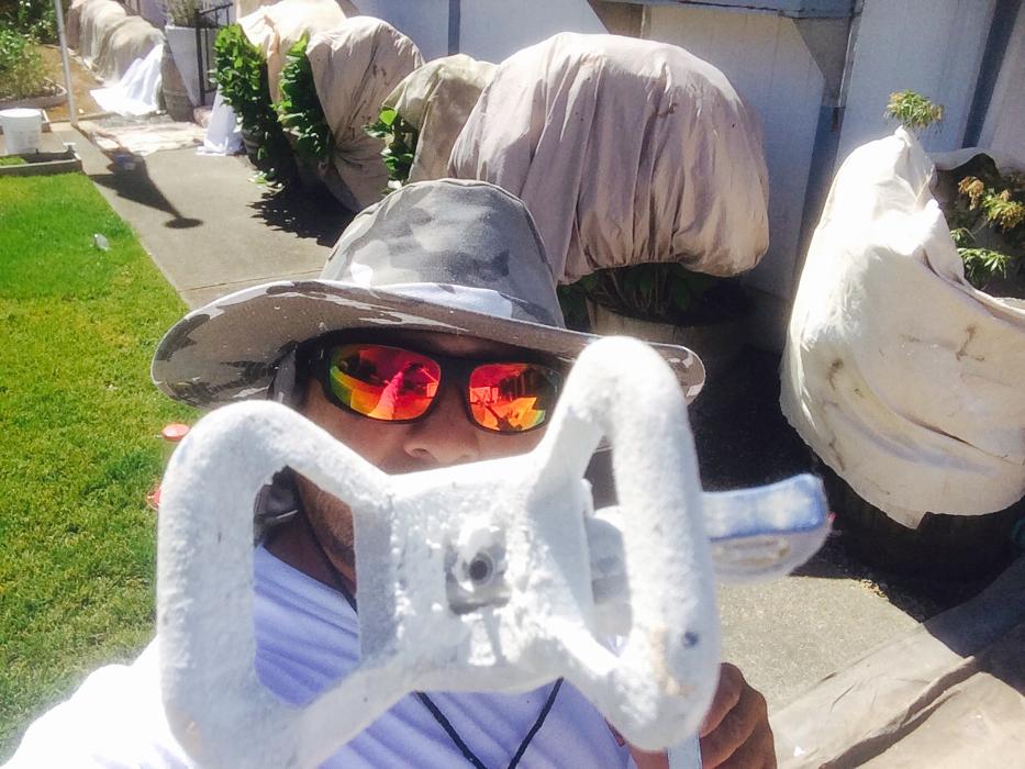 MARCO COTON PAINTING INC Image