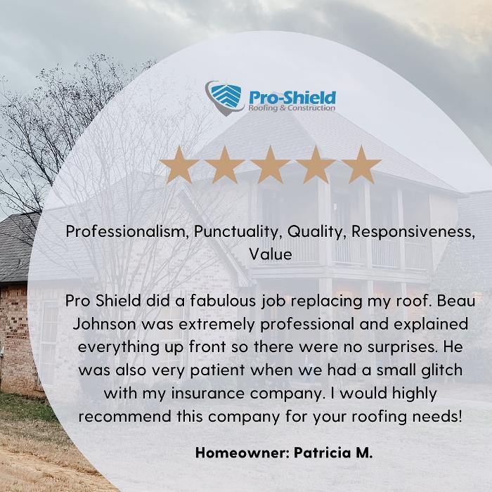 Pro-Shield Roofing & Construction, LLC Image