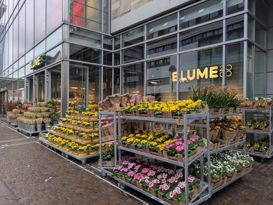 BLUME2000 Freiburg, Kaiser-Joseph-Straße in Freiburg im Breisgau