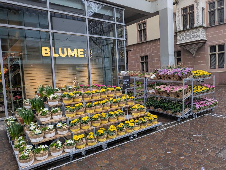 BLUME2000 Freiburg, Kaiser-Joseph-Straße in Freiburg im Breisgau