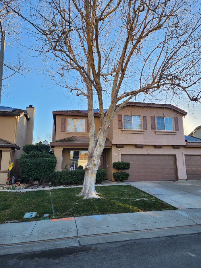 Woodland Tree Service Inc Image