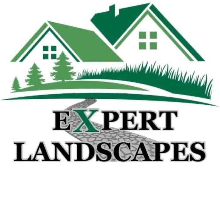 Expert Landscapes