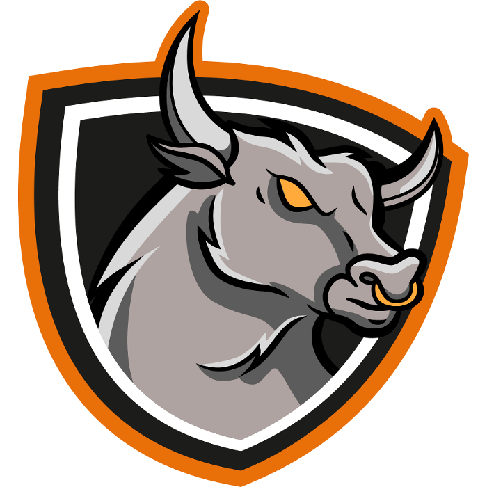 Iron Bull Roofing Image