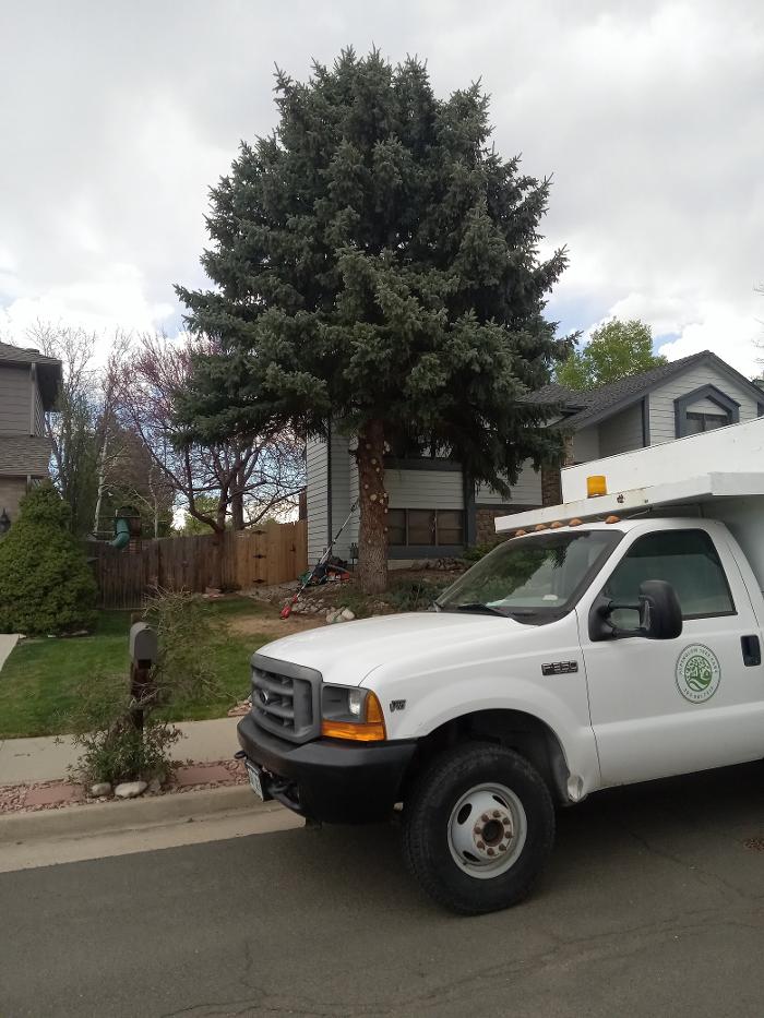 Alpenglow Tree Care Image