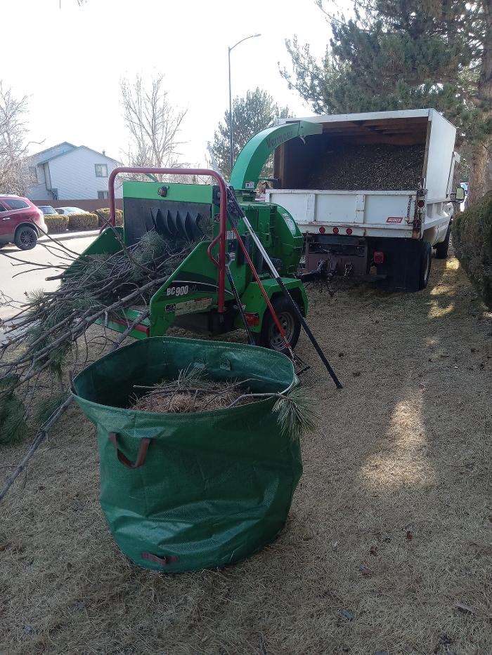 Alpenglow Tree Care Image