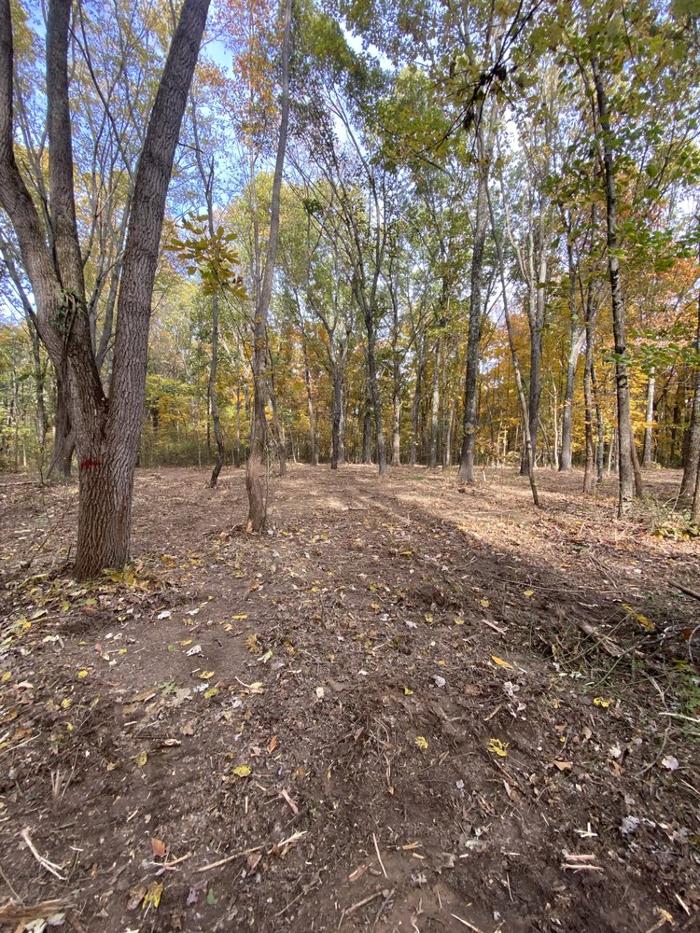 Bushwhacker Land Management Inc. Image