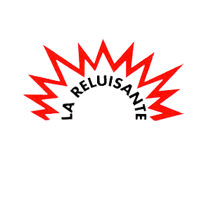 La Reluisante SARL Expert