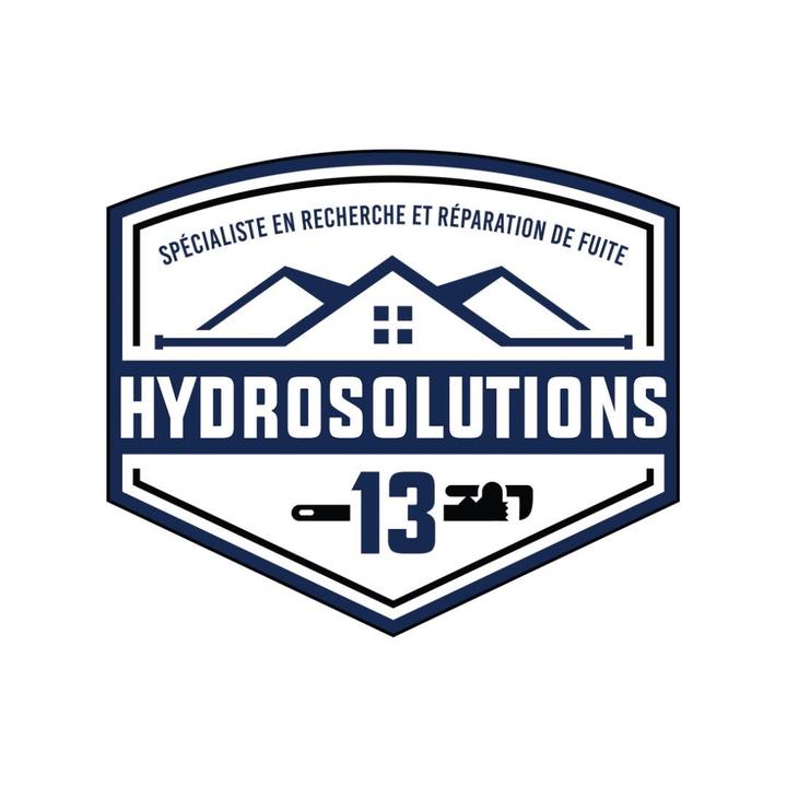 Hydrosolutions 13 Expert