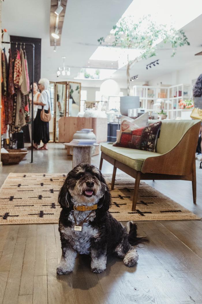 Modern Nomad Home Image